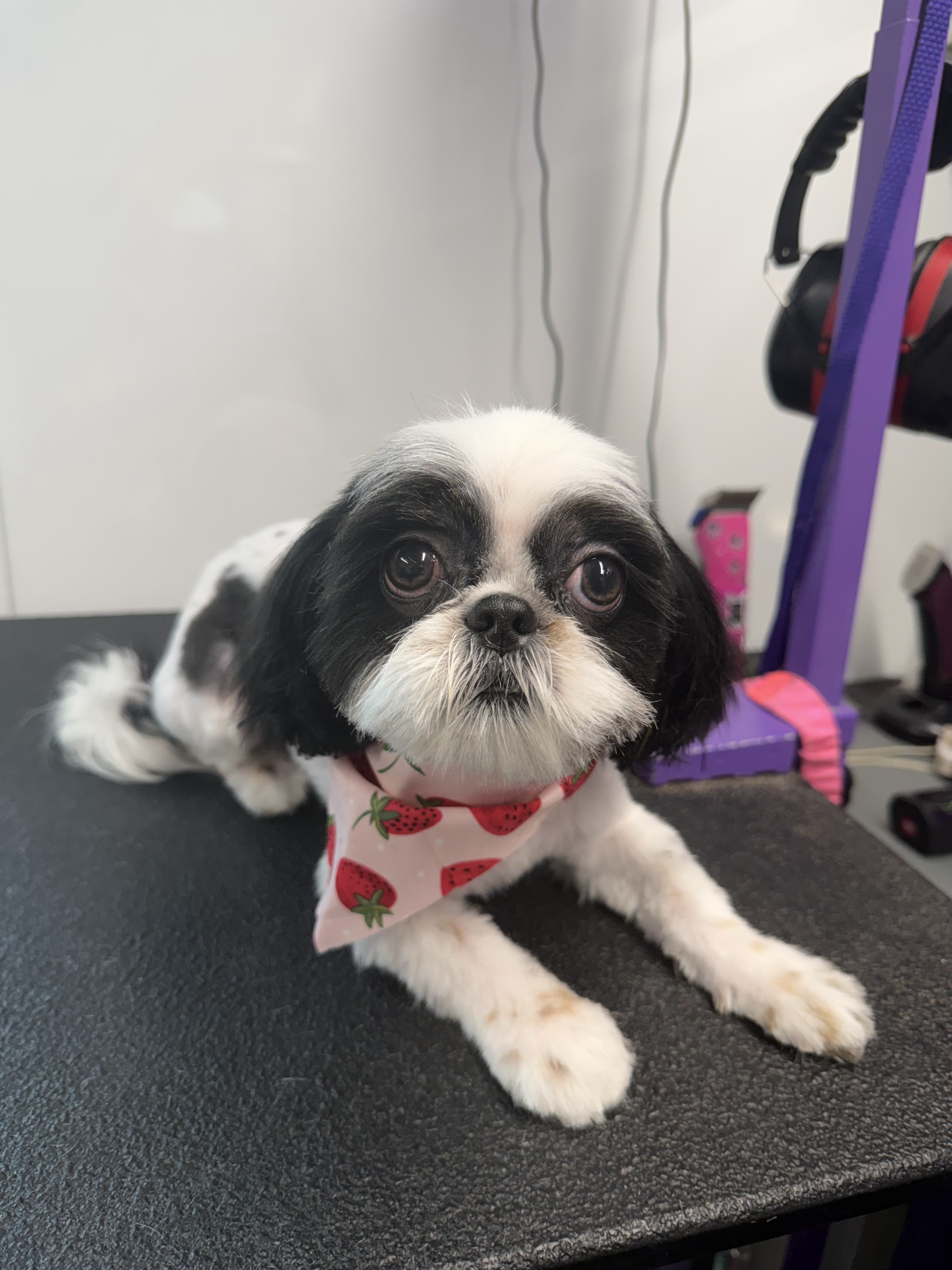 After grooming